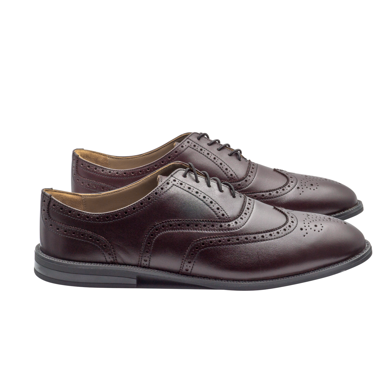 oxblood