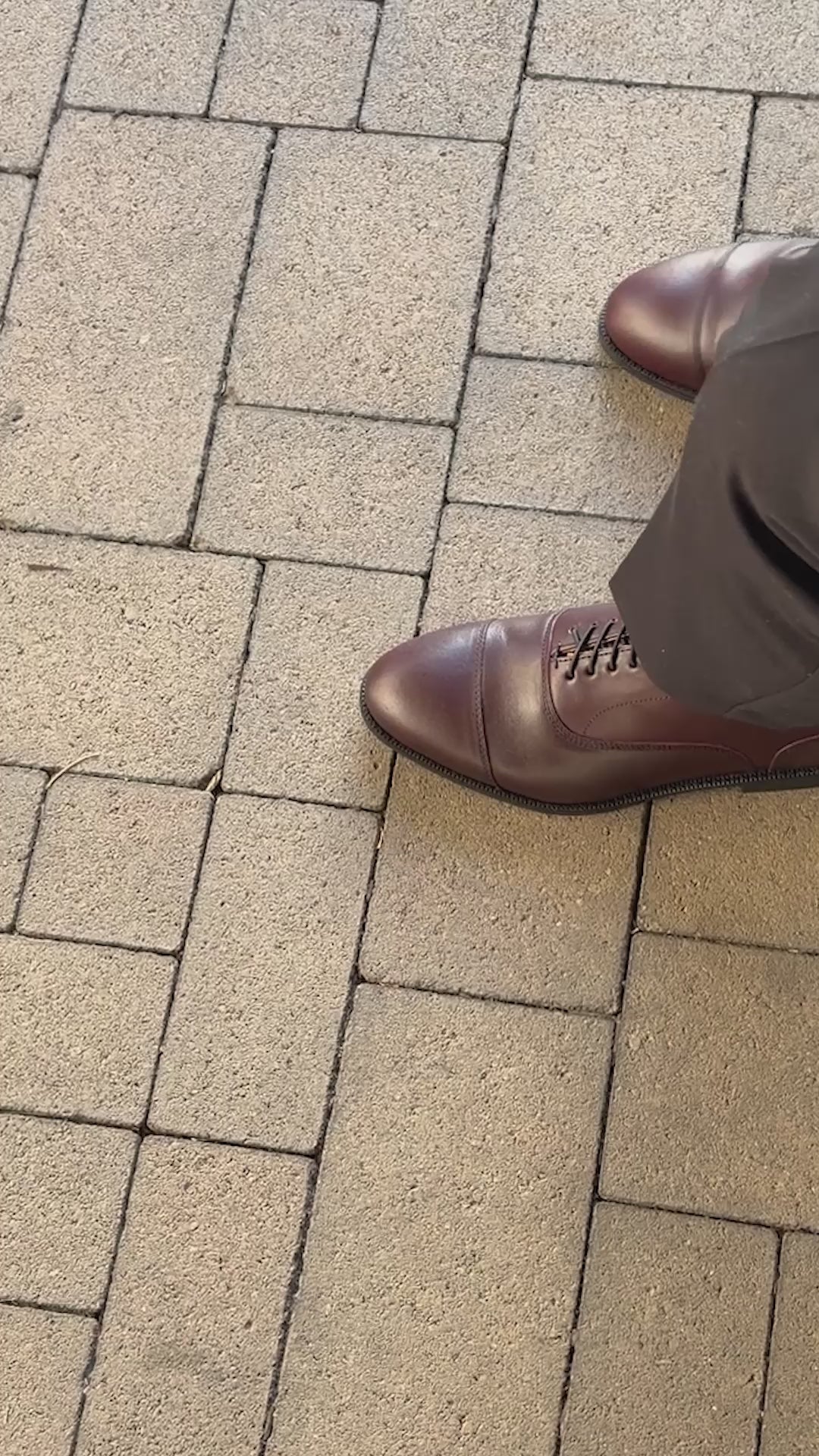 oxblood